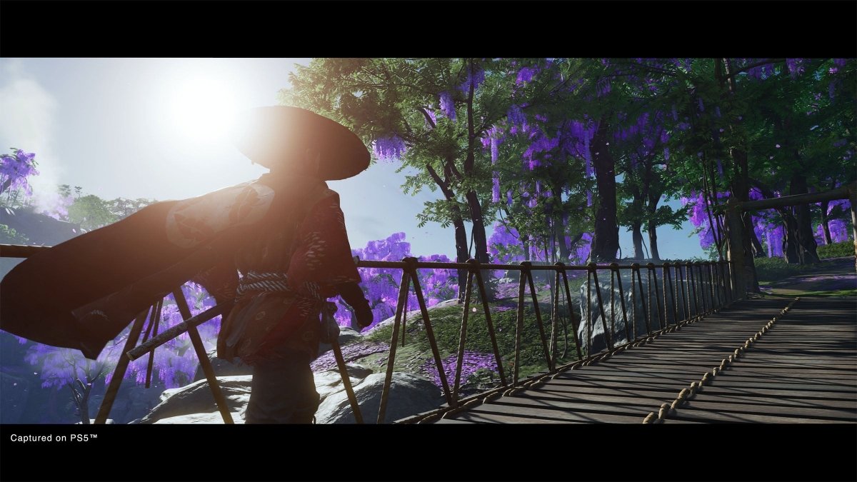 Ghost Of Tsushima Directors Cut - GameOn.games